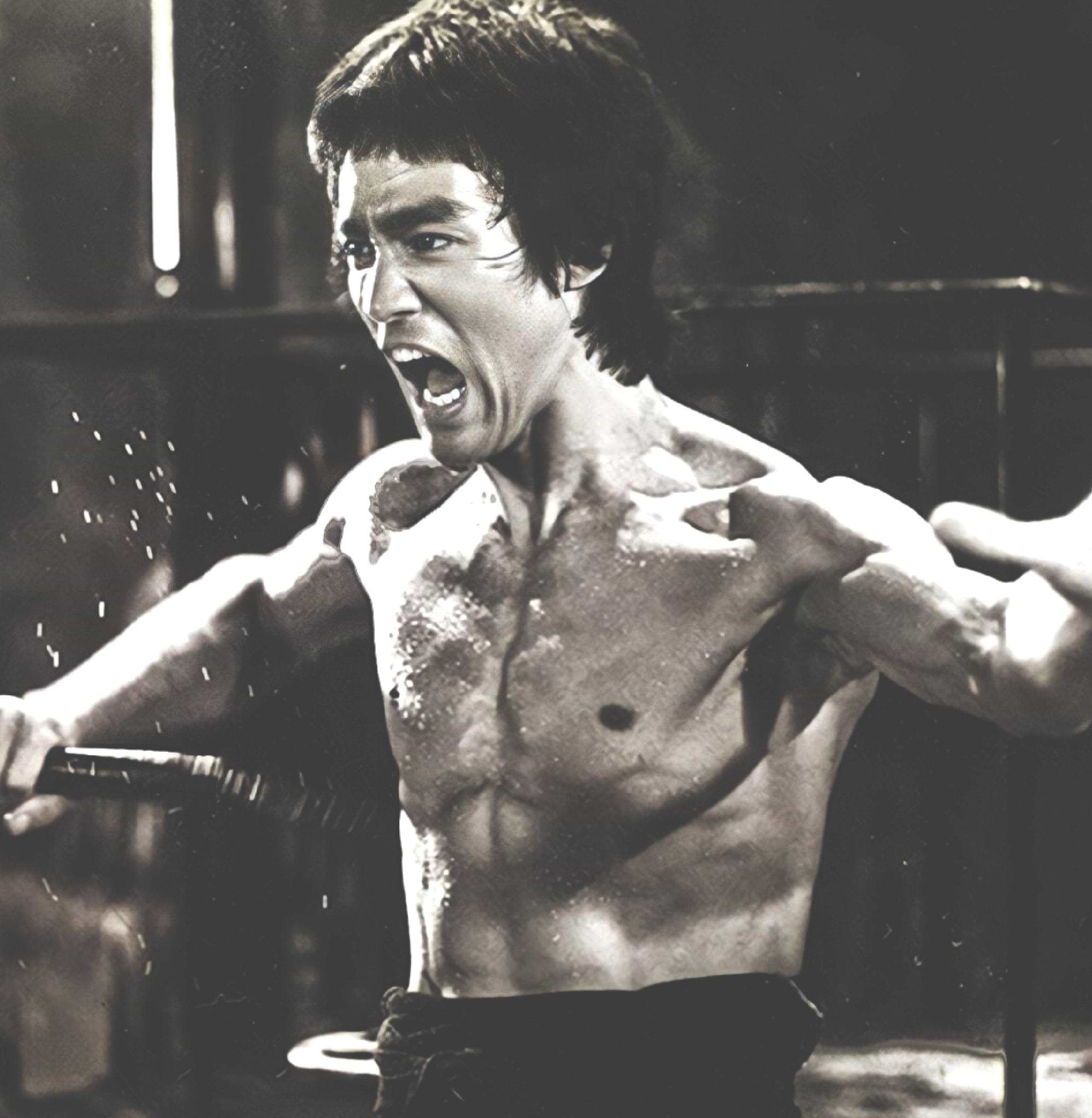 Martial Arts - Roots of Fight