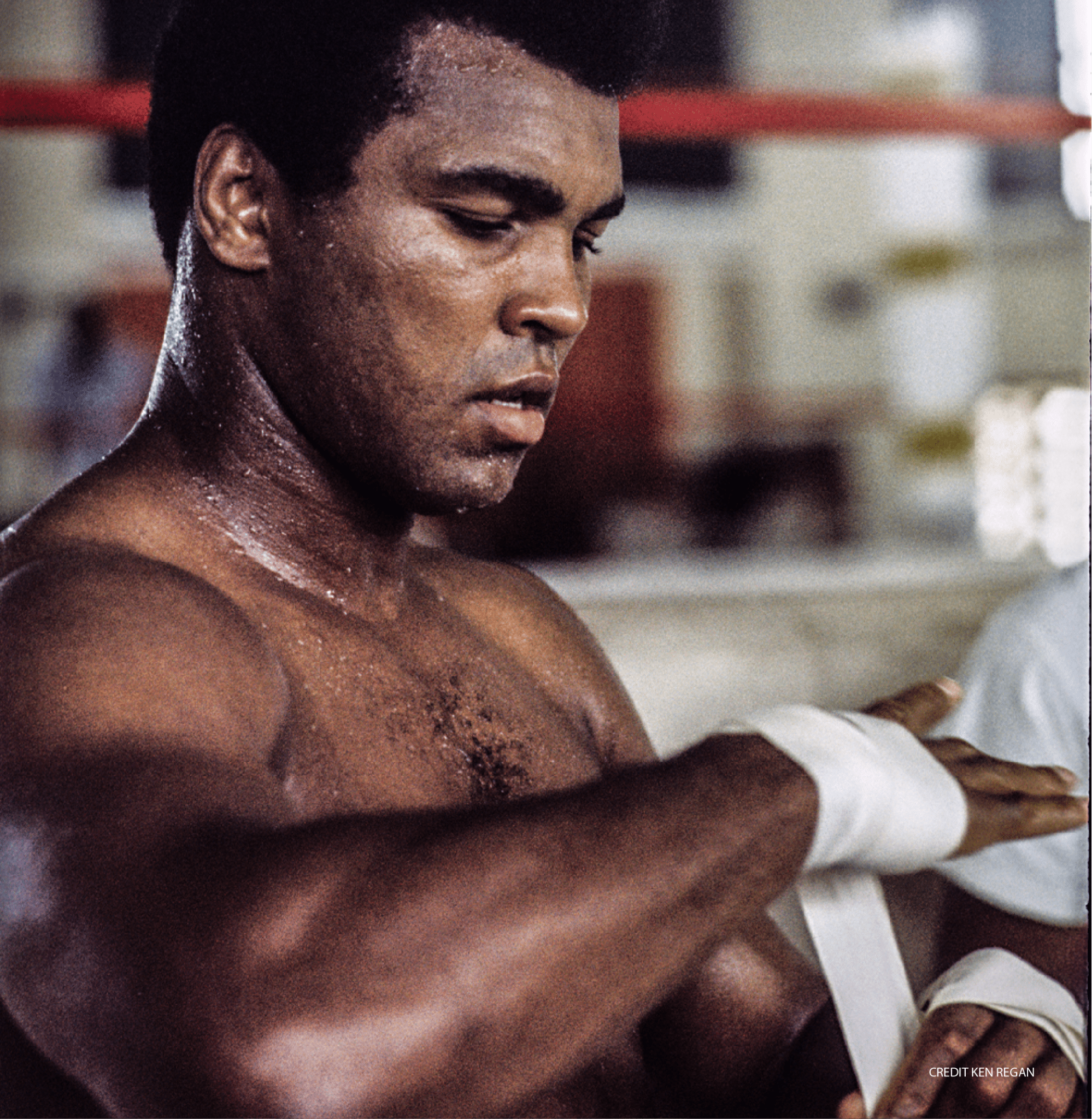 Muhammad Ali - Roots of Fight
