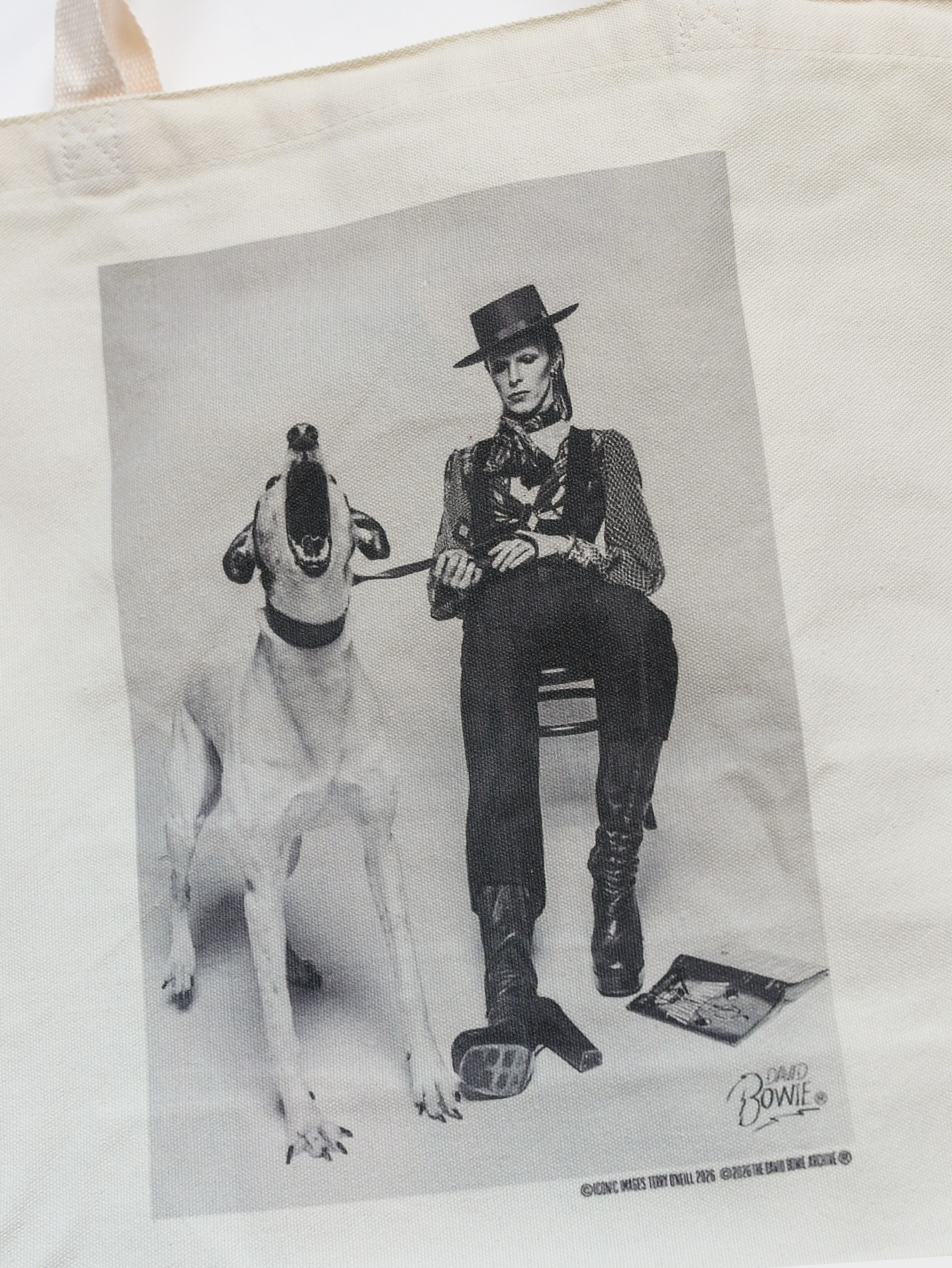 David Bowie Diamond Dogs Photo Ivory Tote Bag