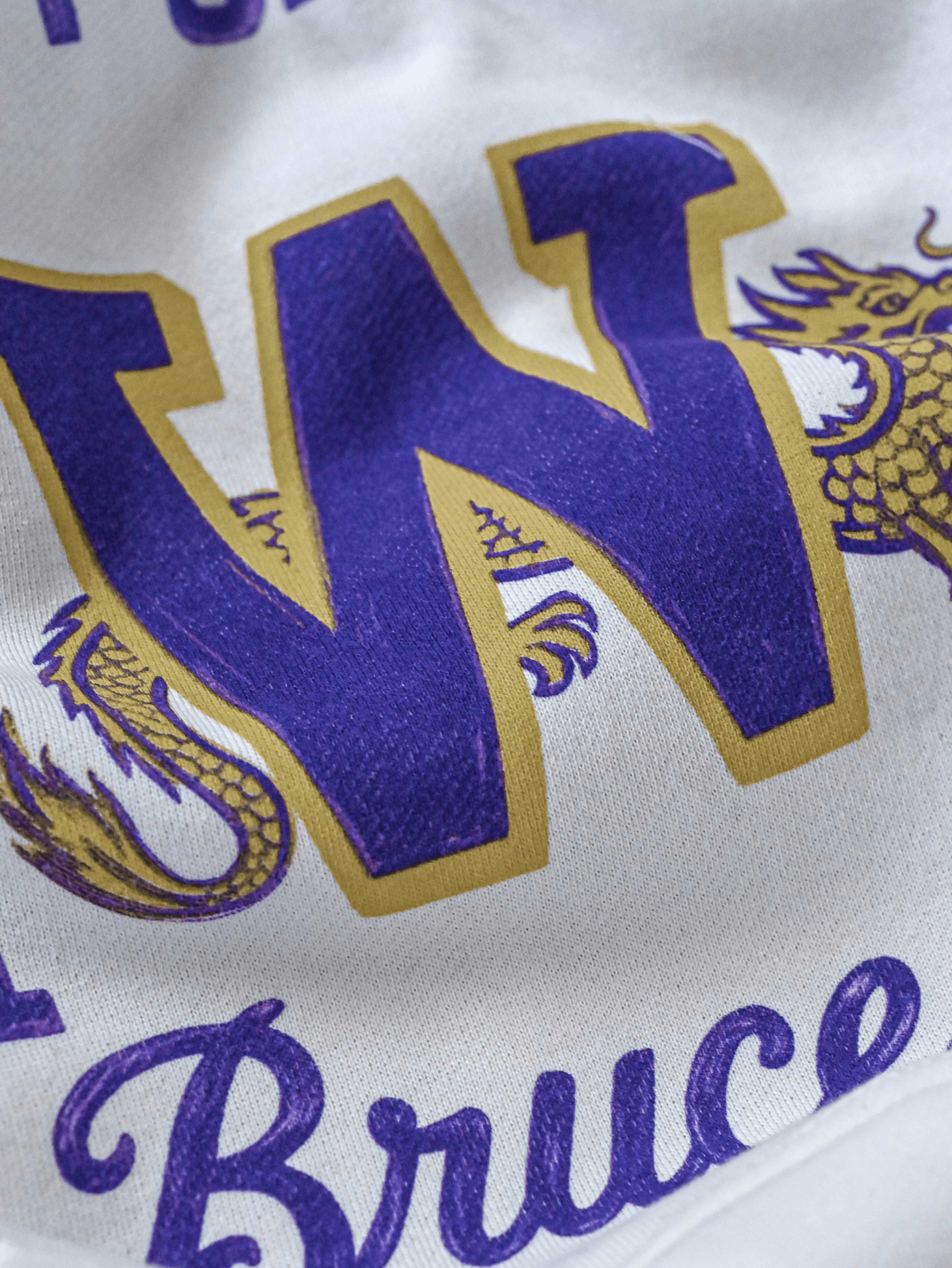 UW - Bruce Lee Campus Legend Heavyweight PO Hoody - Roots of Fight