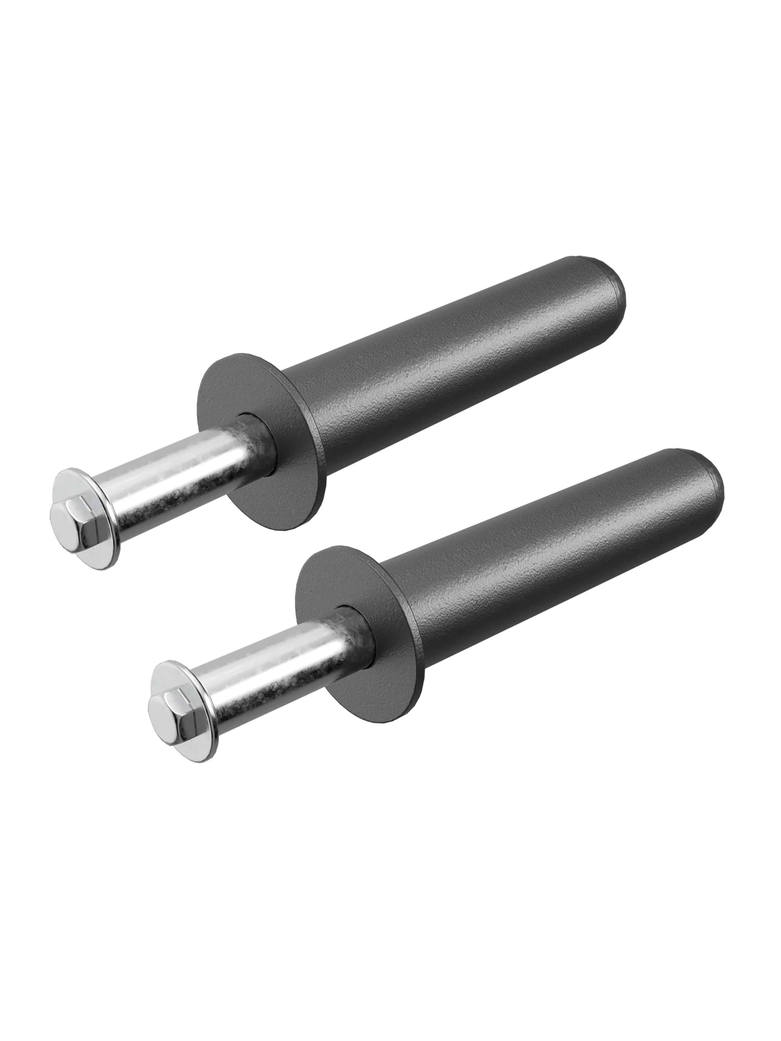 Gewichts-Pins 20cm R8 Serie: Paar | Für mehr Ordnung im Gym | Je 100 kg Tragkraft | Kompatibel mit R8-Racks und 50 mm Scheiben | Pulverbeschichtet