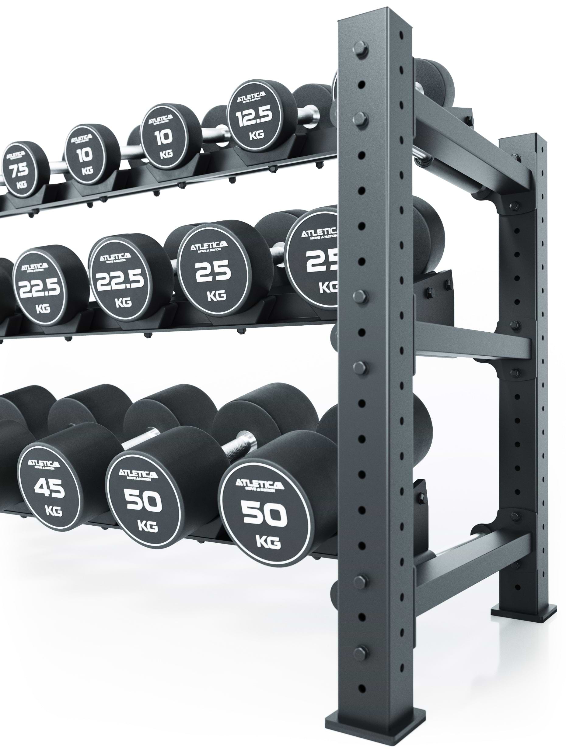 Premium Kurzhantelablage
Dumbbell Rack für Rundhanteln Mammoth