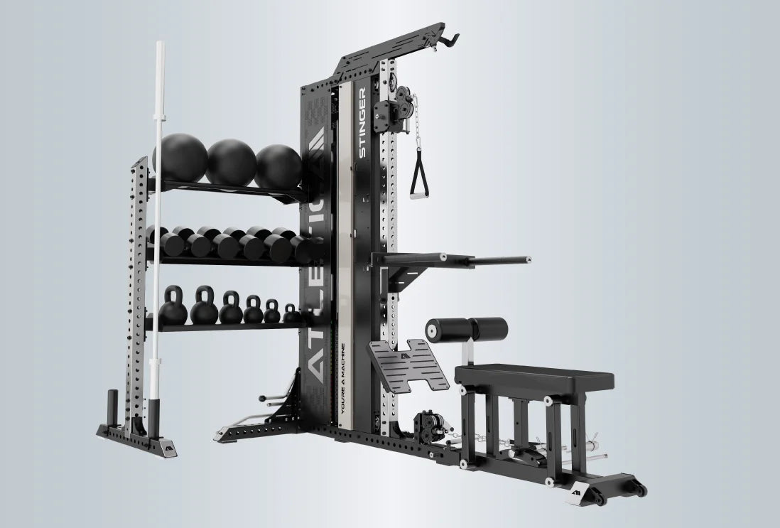 Stinger 4-in-1 Functional Trainer:  Lat-und Ruderzugturm, erweiterbar zur Belt Squat- und Dip-Station