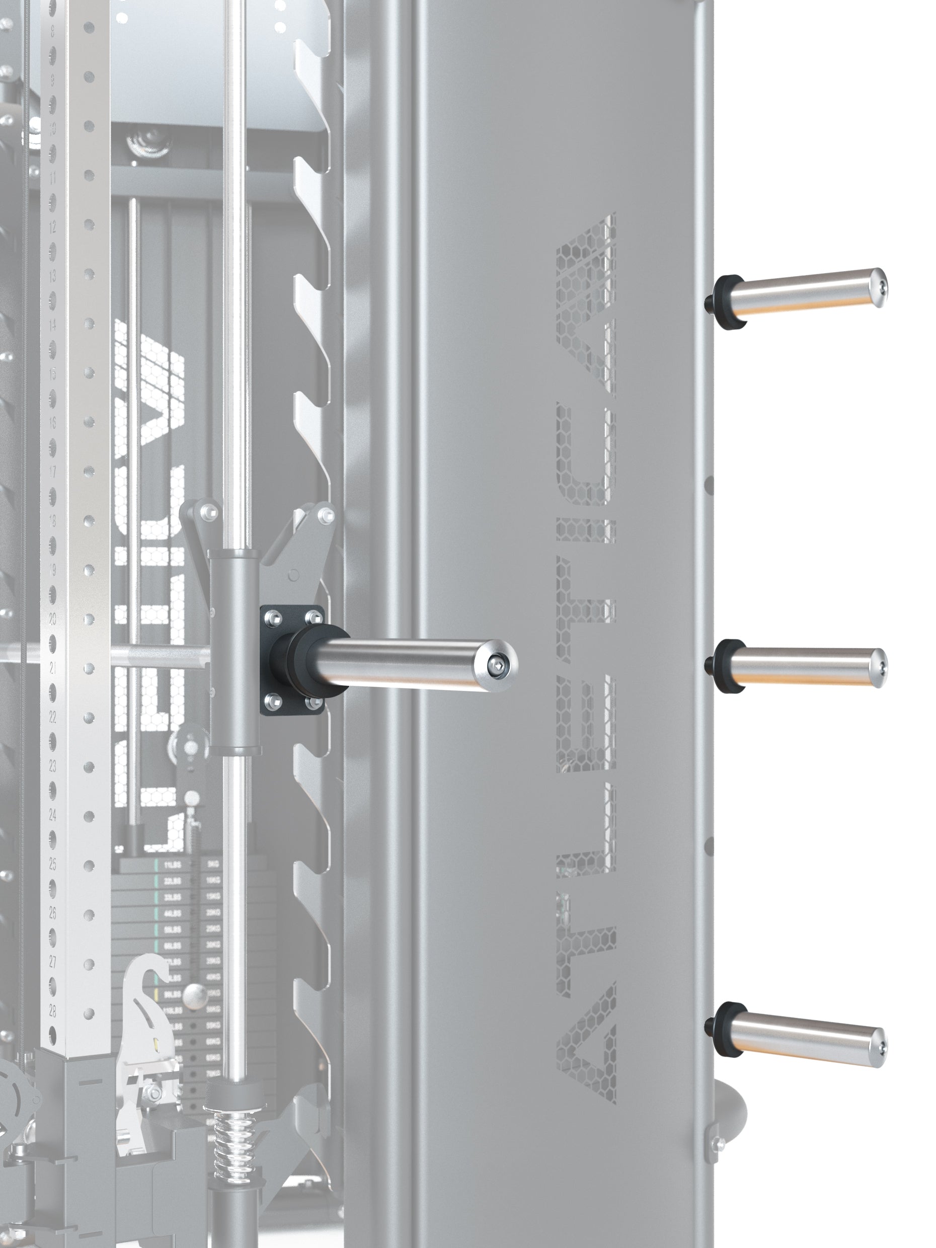 Set Quantum Plate Load 
