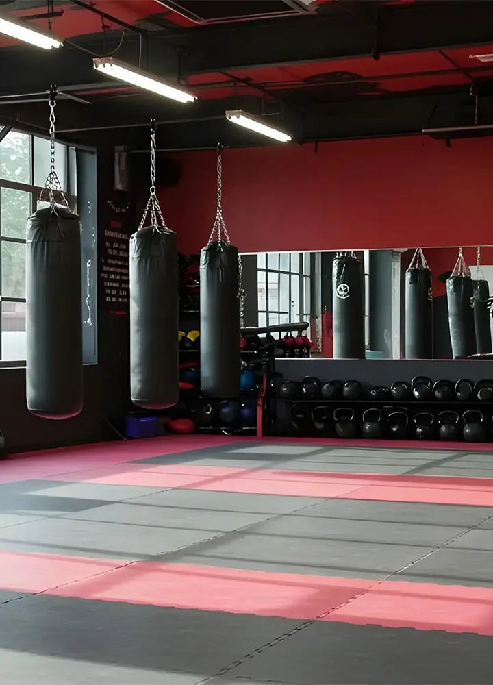 Kampfsport Studios einrichten 