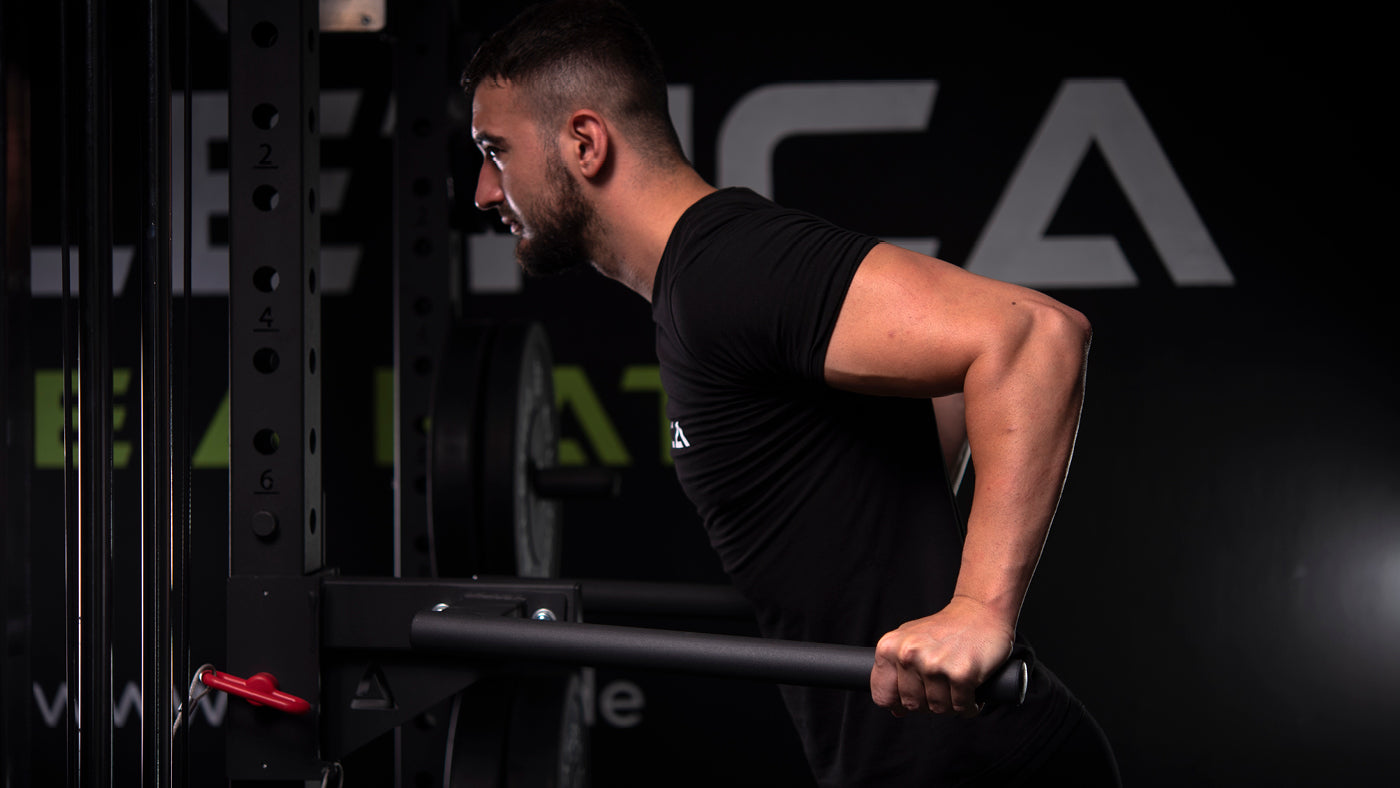 dips for the shoulder