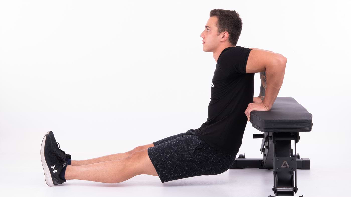 Dips exercises on the weight bench