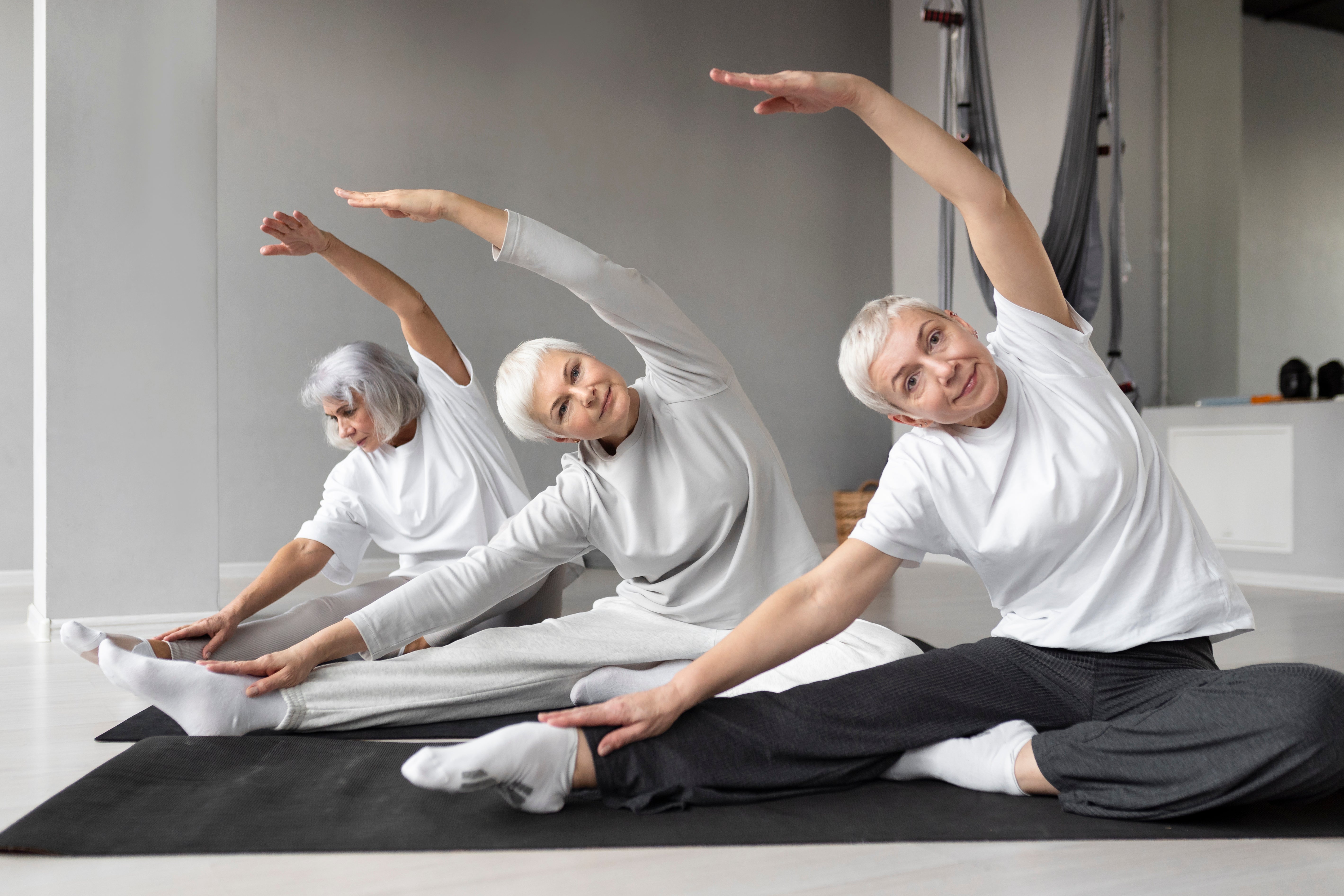 set up a senior gym