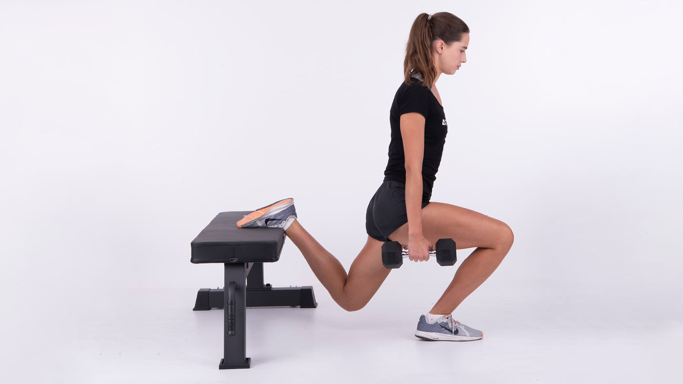 Split squat on the weight bench with dumbbells