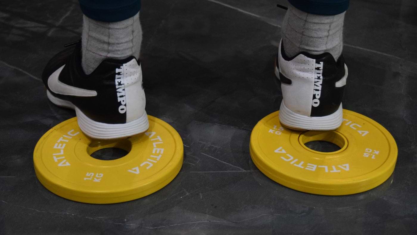 training calves