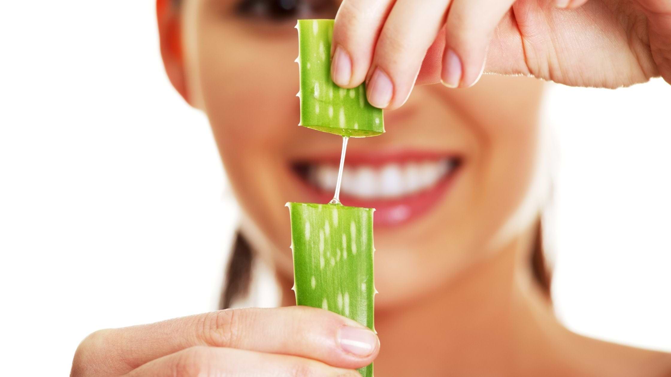 buy aloe vera near me ALOE VERA 8in main image 0