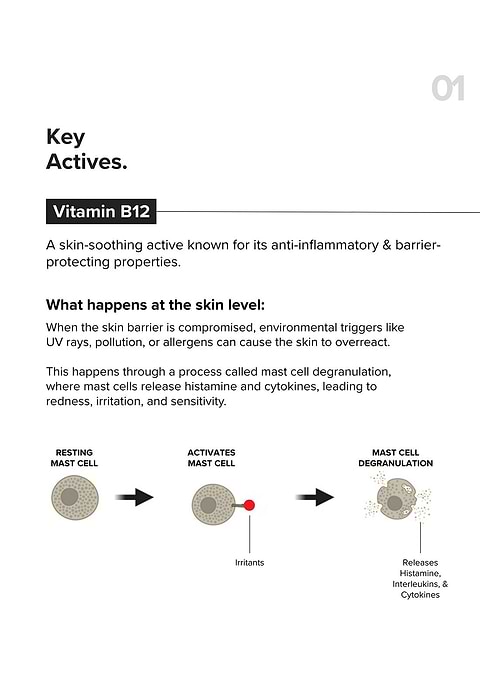 B12 + Repair Complex 5.5% Face Moisturizer