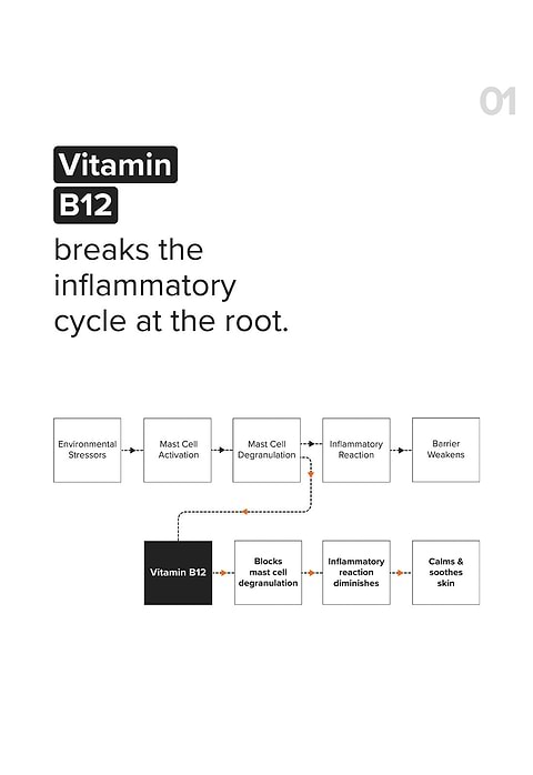 B12 + Repair Complex 5.5% Face Moisturizer