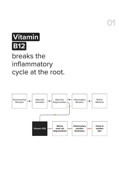 B12 + Repair Complex 5.5% Face Moisturizer