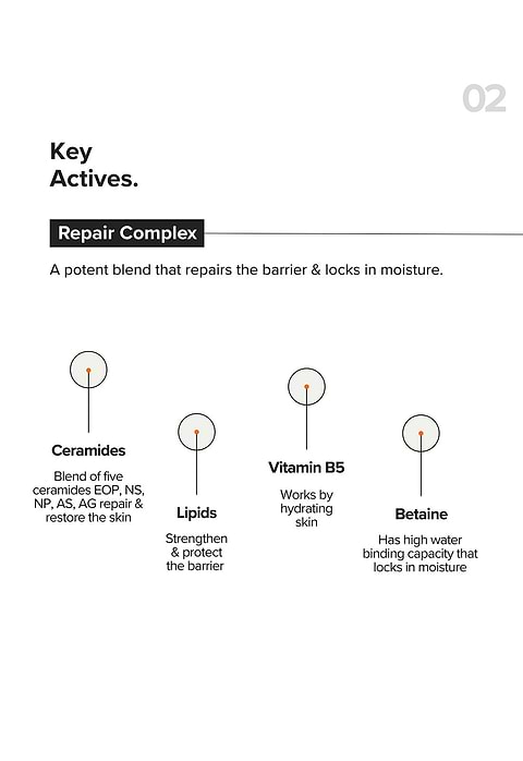 B12 + Repair Complex 5.5% Face Moisturizer