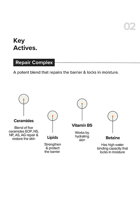 B12 + Repair Complex 5.5% Face Moisturizer