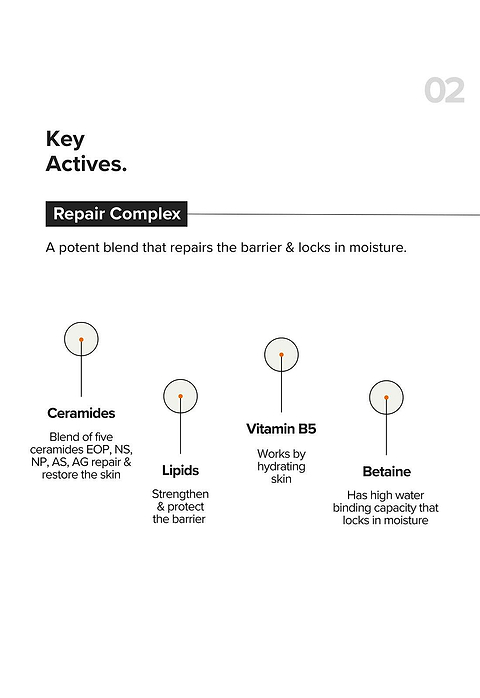 B12 + Repair Complex 5.5% Face Moisturizer