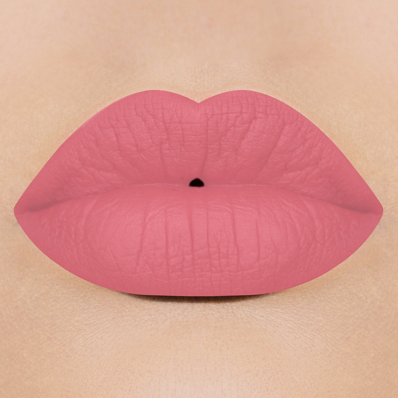 Matte liquid Lipsticks - Talkdirty