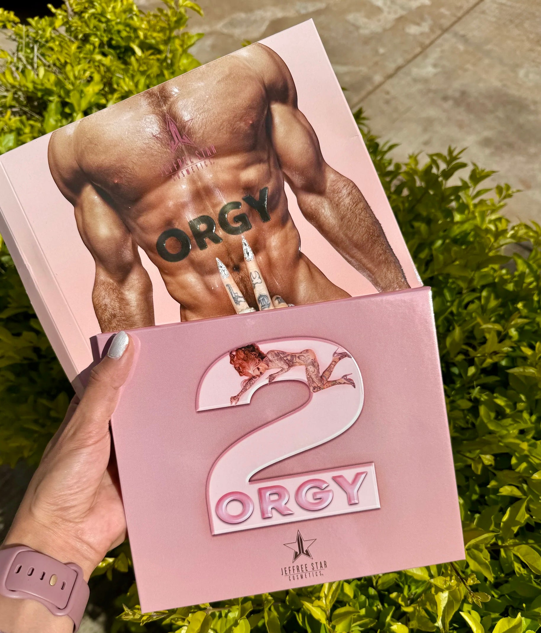 Orgy 2 Palette