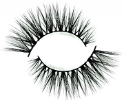 Lashes - Hollywood