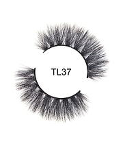 TL37
