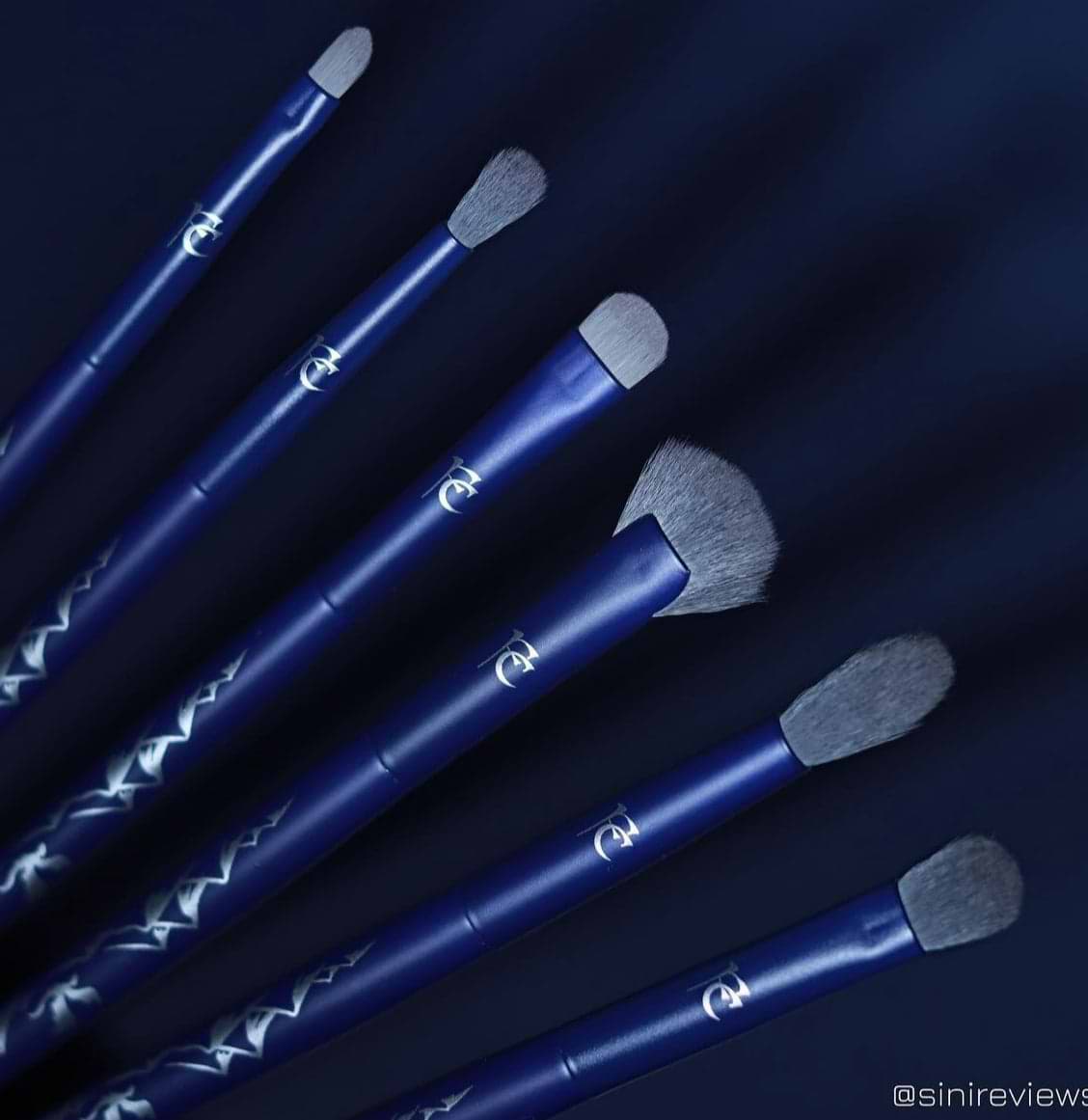 Ice Dragon Eye Brushset