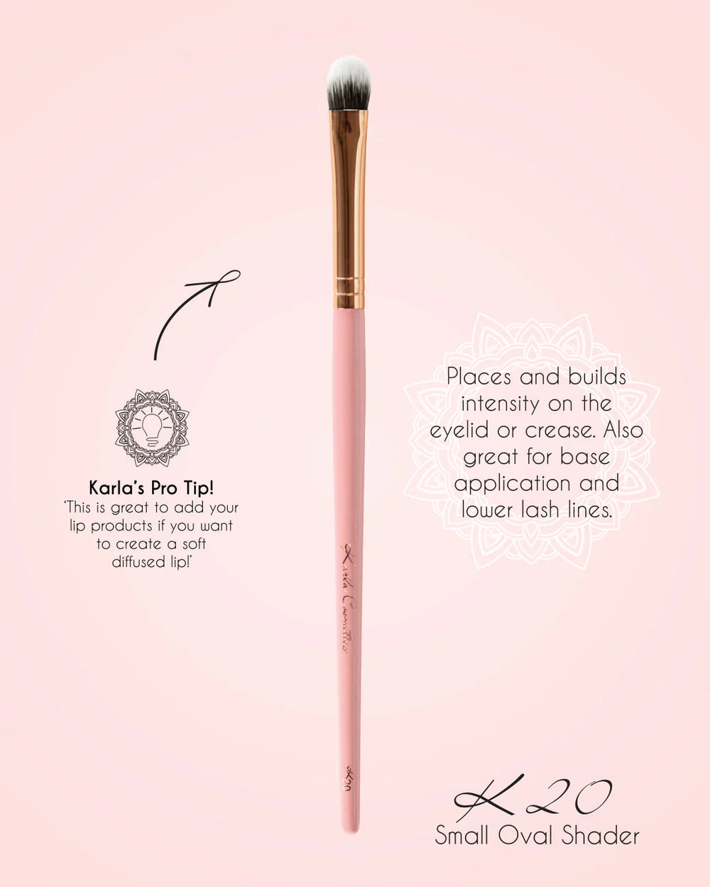 6 Piece Essential Brush Collection