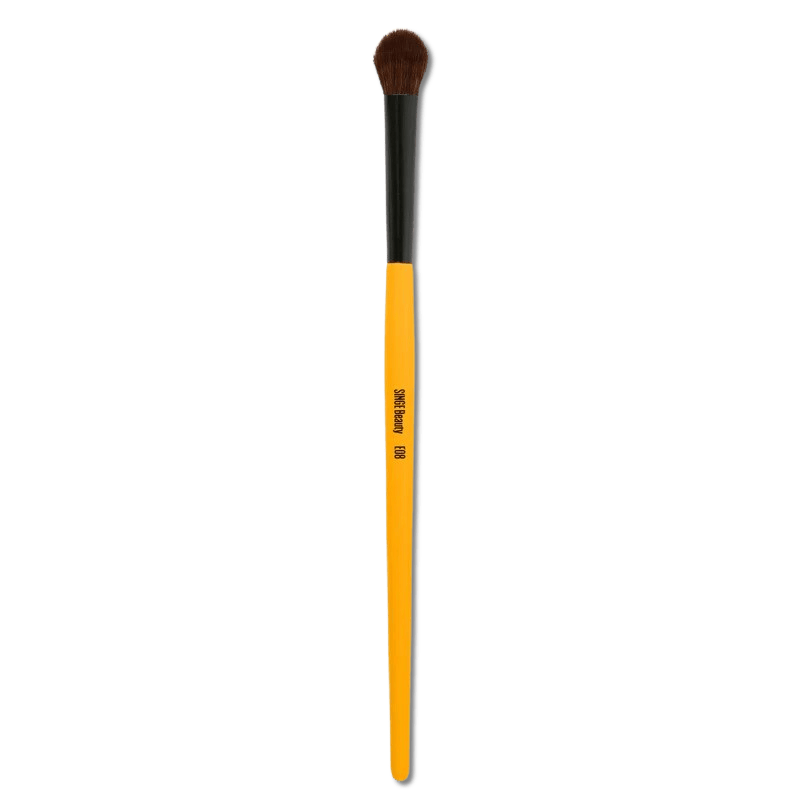 Singe Expansion Eye Brush Set