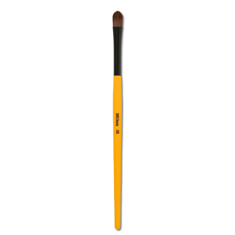 Singe Expansion Eye Brush Set