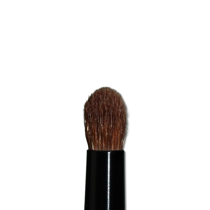 Singe Expansion Eye Brush Set