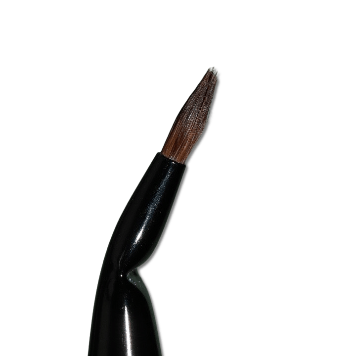 Singe Expansion Eye Brush Set