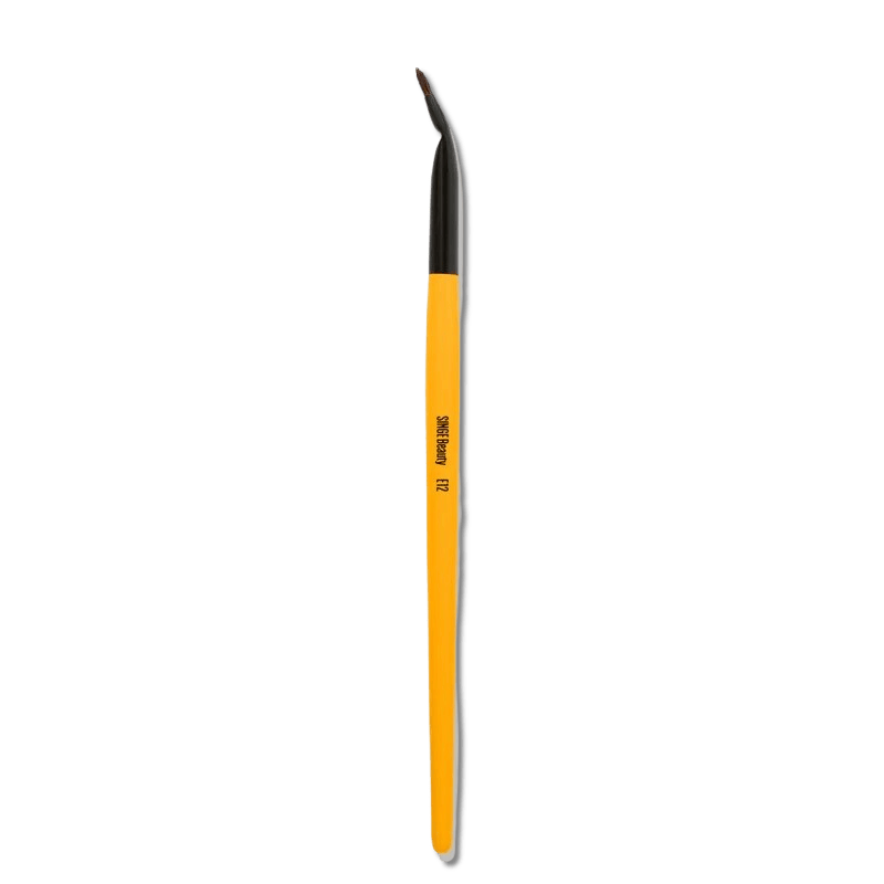 Singe Expansion Eye Brush Set