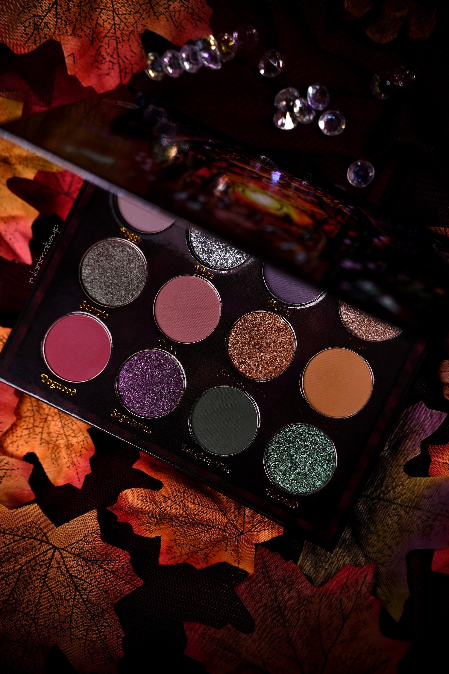 Enchanted Autumn