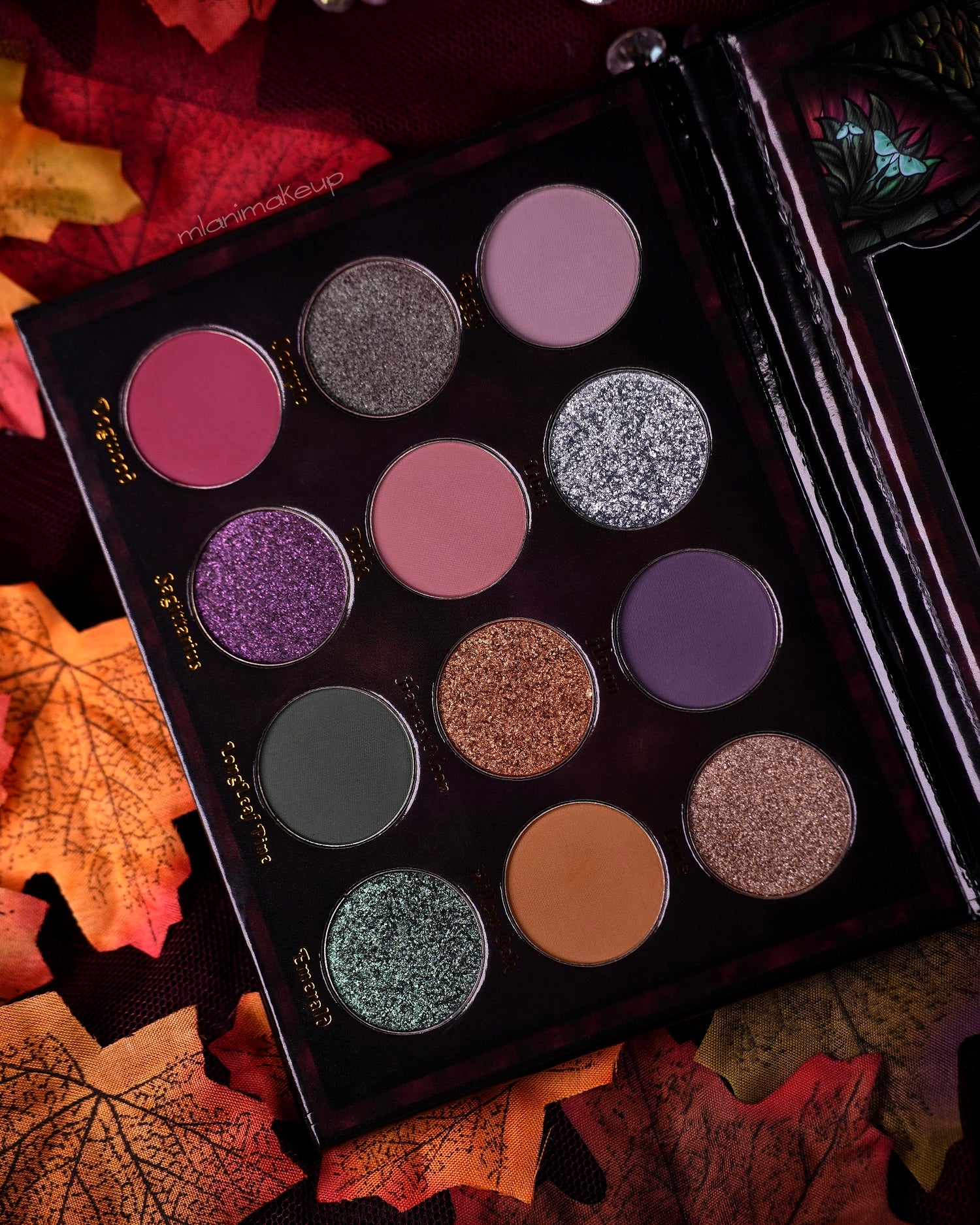 Enchanted Autumn