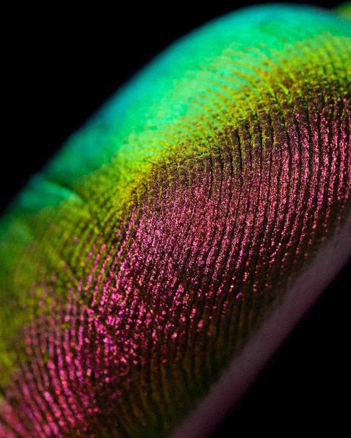 Multichrome Loose Eyeshadows - Bed Bug
