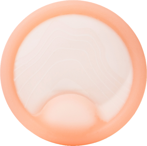Small Saalt Disc