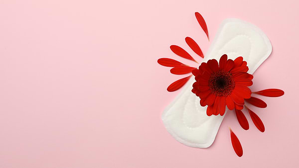 Red Flower Resting On Unused Pads, Its Red Petals Stretching Outward