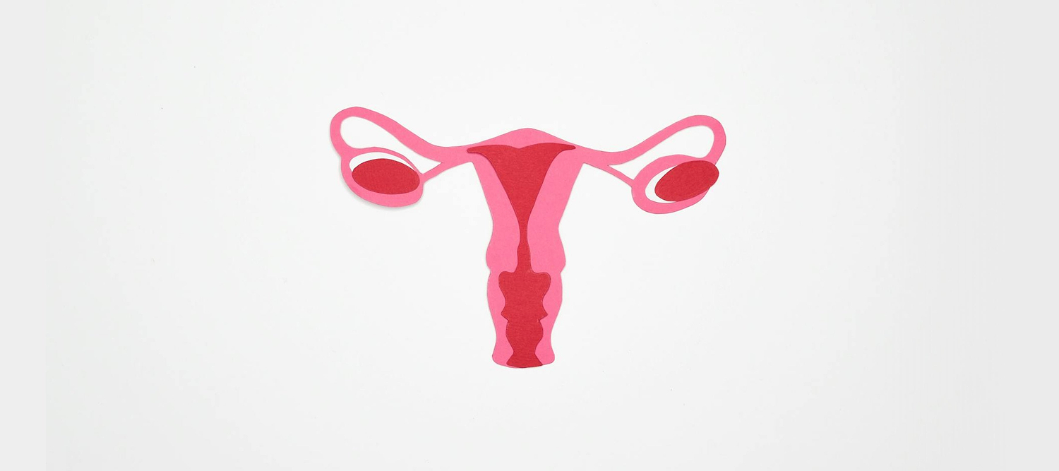Illustration of uterus and ovaries representing menstrual cycle timing and when you are least fertile.