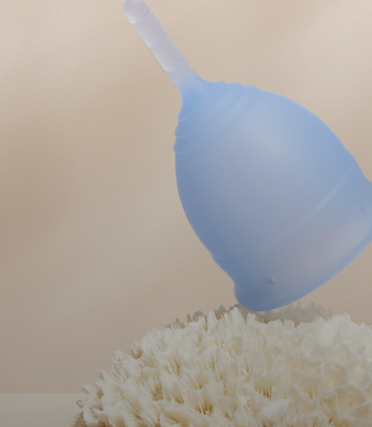 Close-up of a light blue reusable menstrual cup with a flexible stem above white flowers.