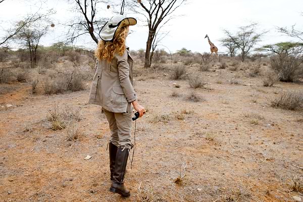 Fascinating Image of The Magic of The African Plains