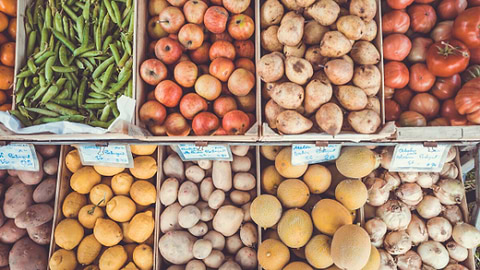 Master Sustainable Travel Shop at Local Markets