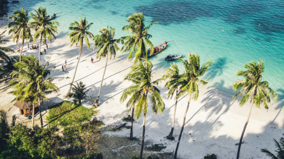 Tropical Destinations to Inspire You For 2020