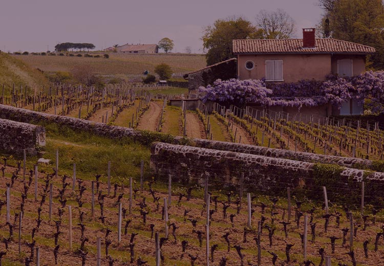 Burgundy in Bordeaux