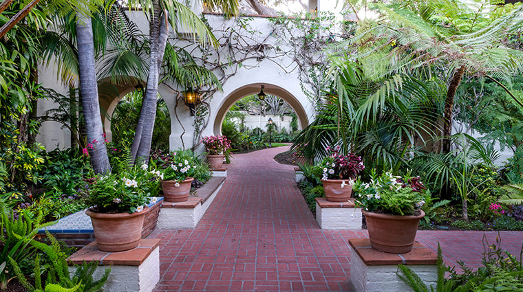 The Anatomie Store Location In Santa Barbara California 