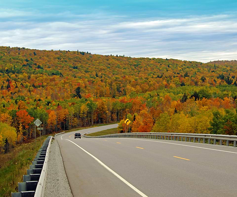 Best Fall Foliage US-31 into Petoskey, Michigan