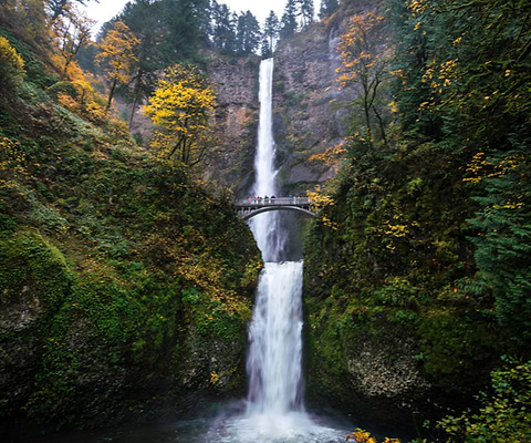 Place to Visit in The Fall Columbia River Gorge, Oregon