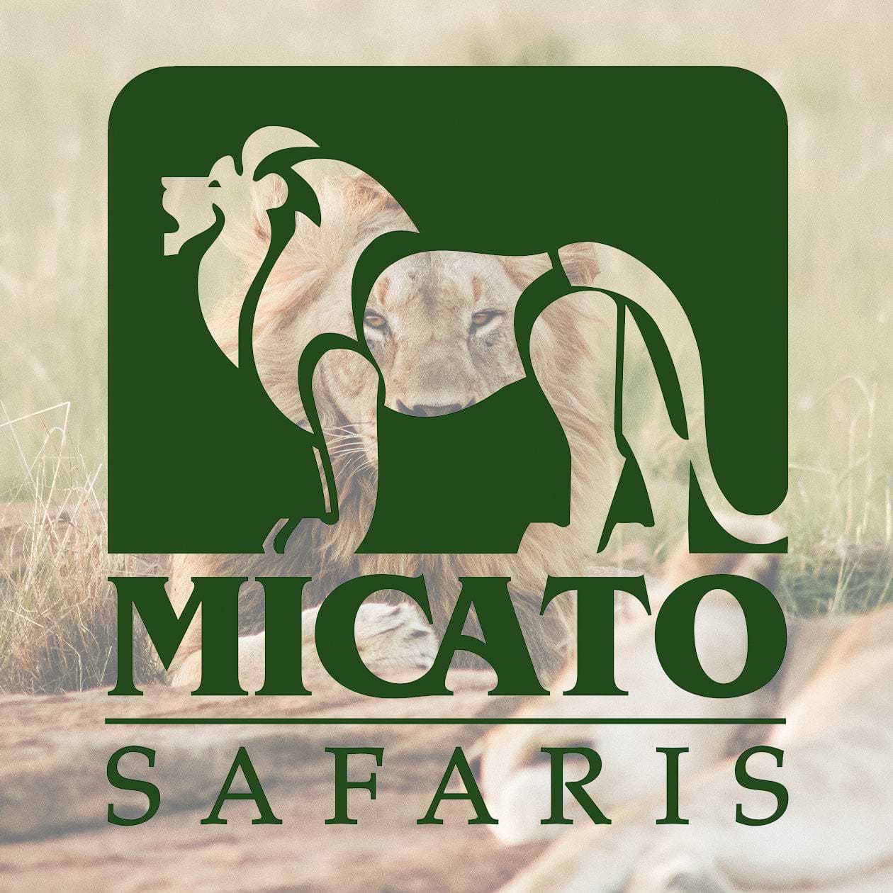 files/Micato_Logo.jpg