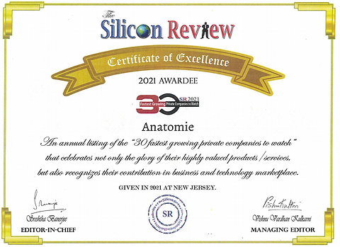 Anatomie Recognized in The Silicon Review with a Certificate of Excellence