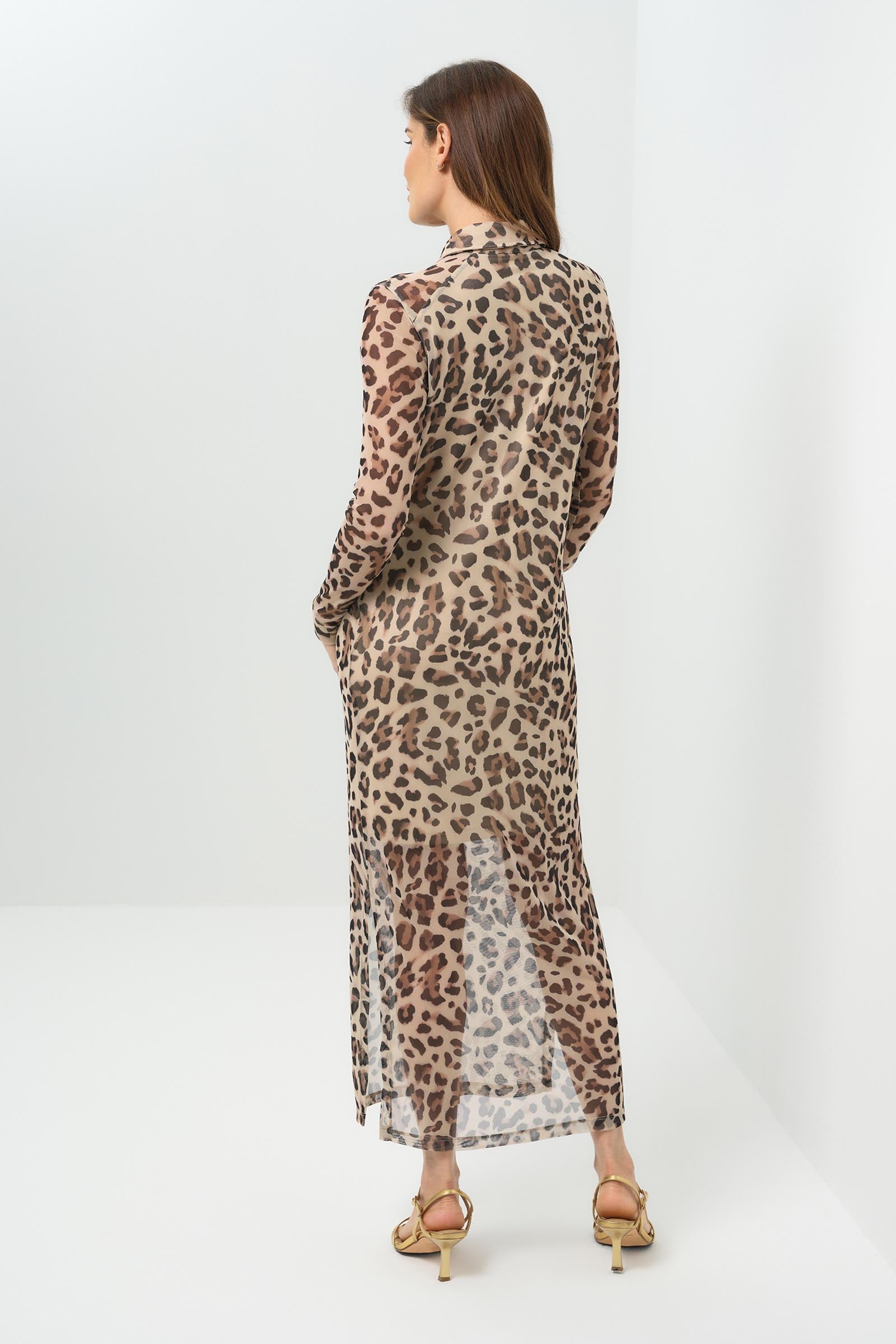 Printed Colette Dress with Printed Mesh Overlay