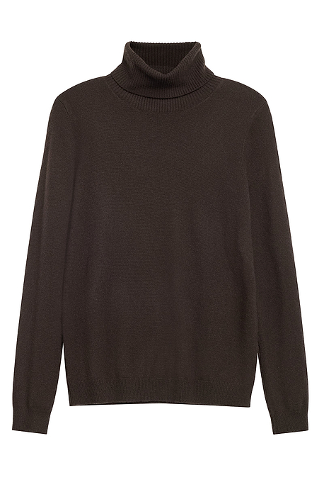 Emily Cashmere Turtleneck Sweater